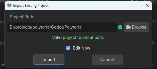 Import project prompt